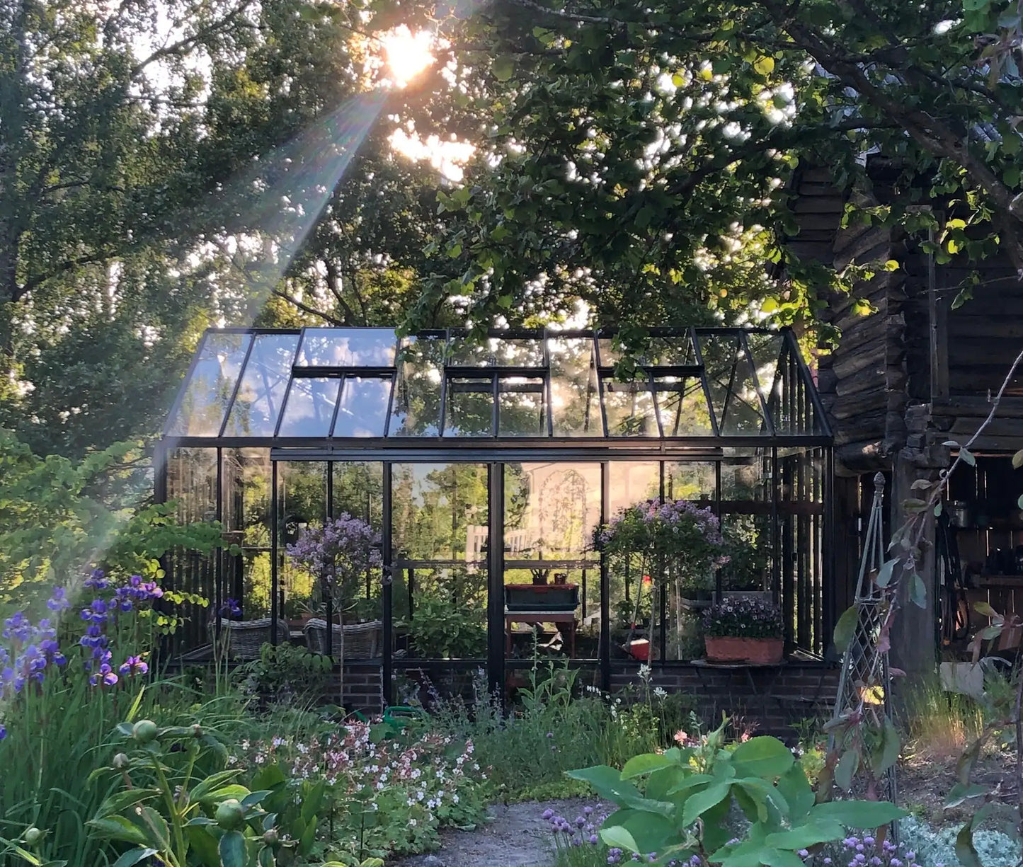 Greenhouses architecturales