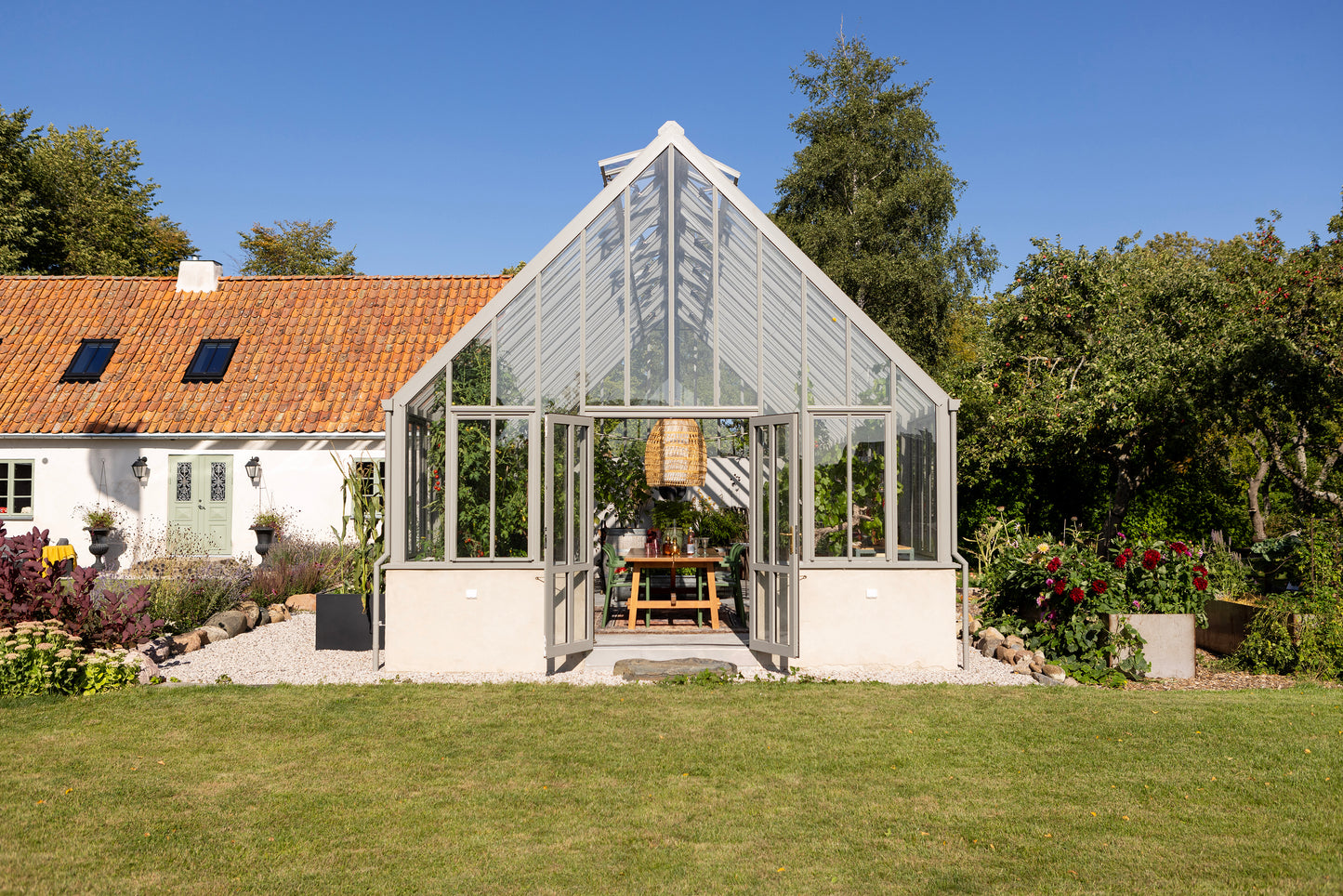 Skleníkový polyantha s velkolepou velikostí