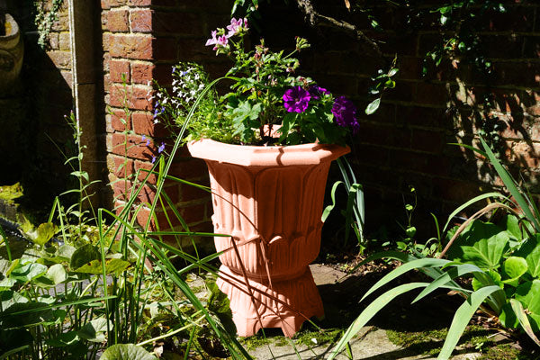 Lotus Vase - urn ya kihistoria ya kupanda