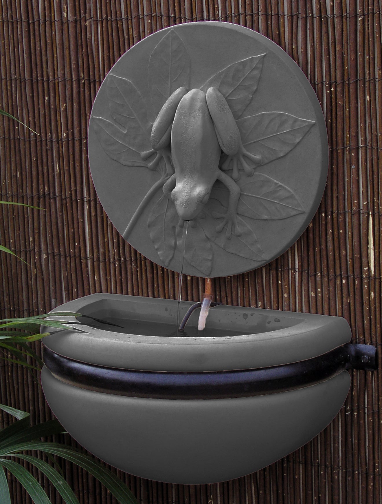 Fontana a parete con rana