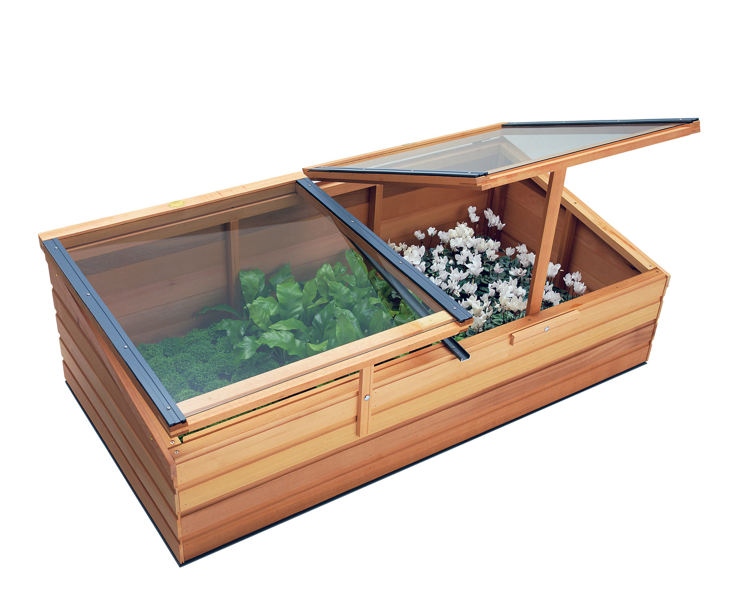 Odlingsbänk The Grand