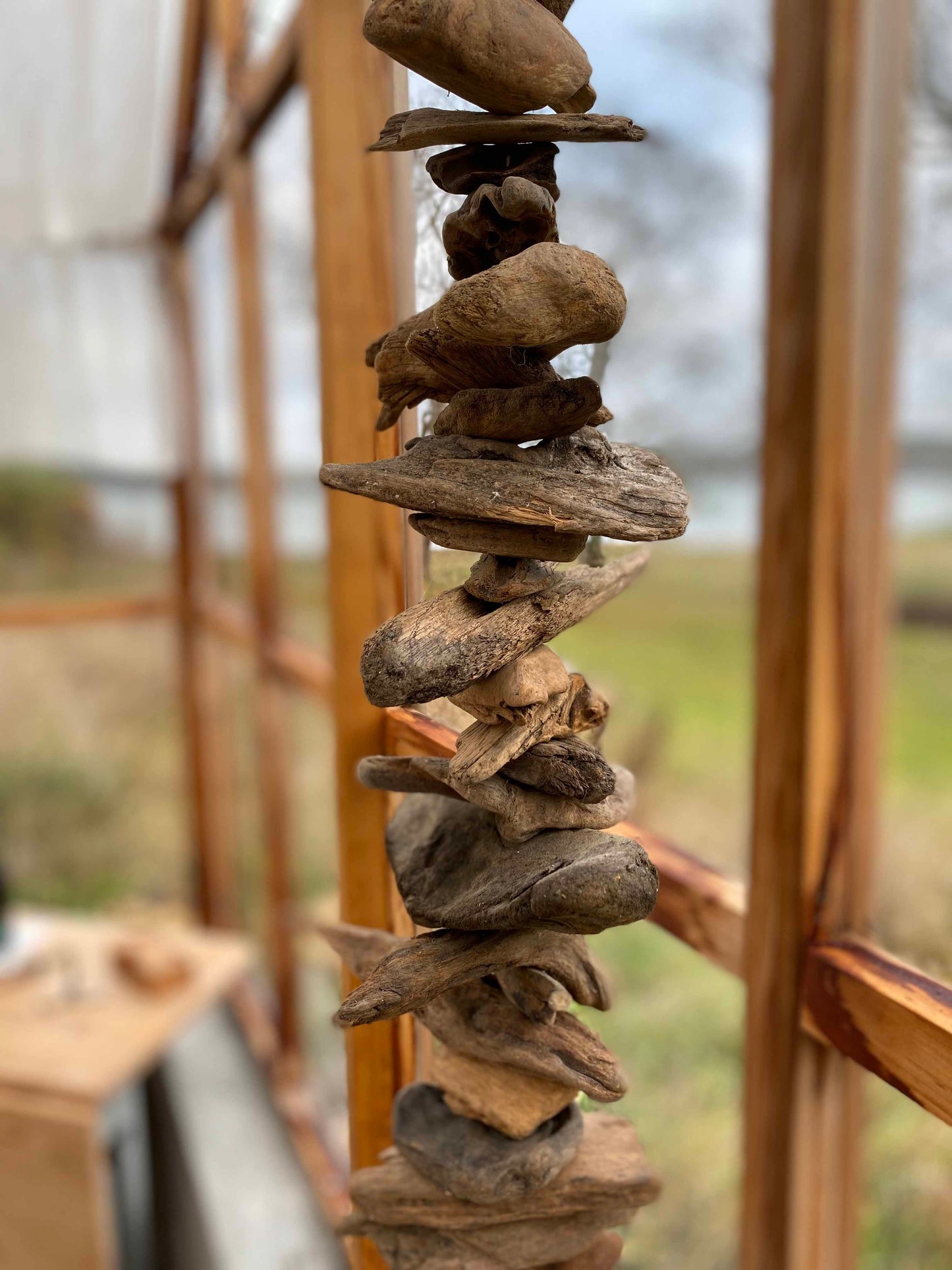 شجرة الأرز الدفيئة مصنع البيت 12