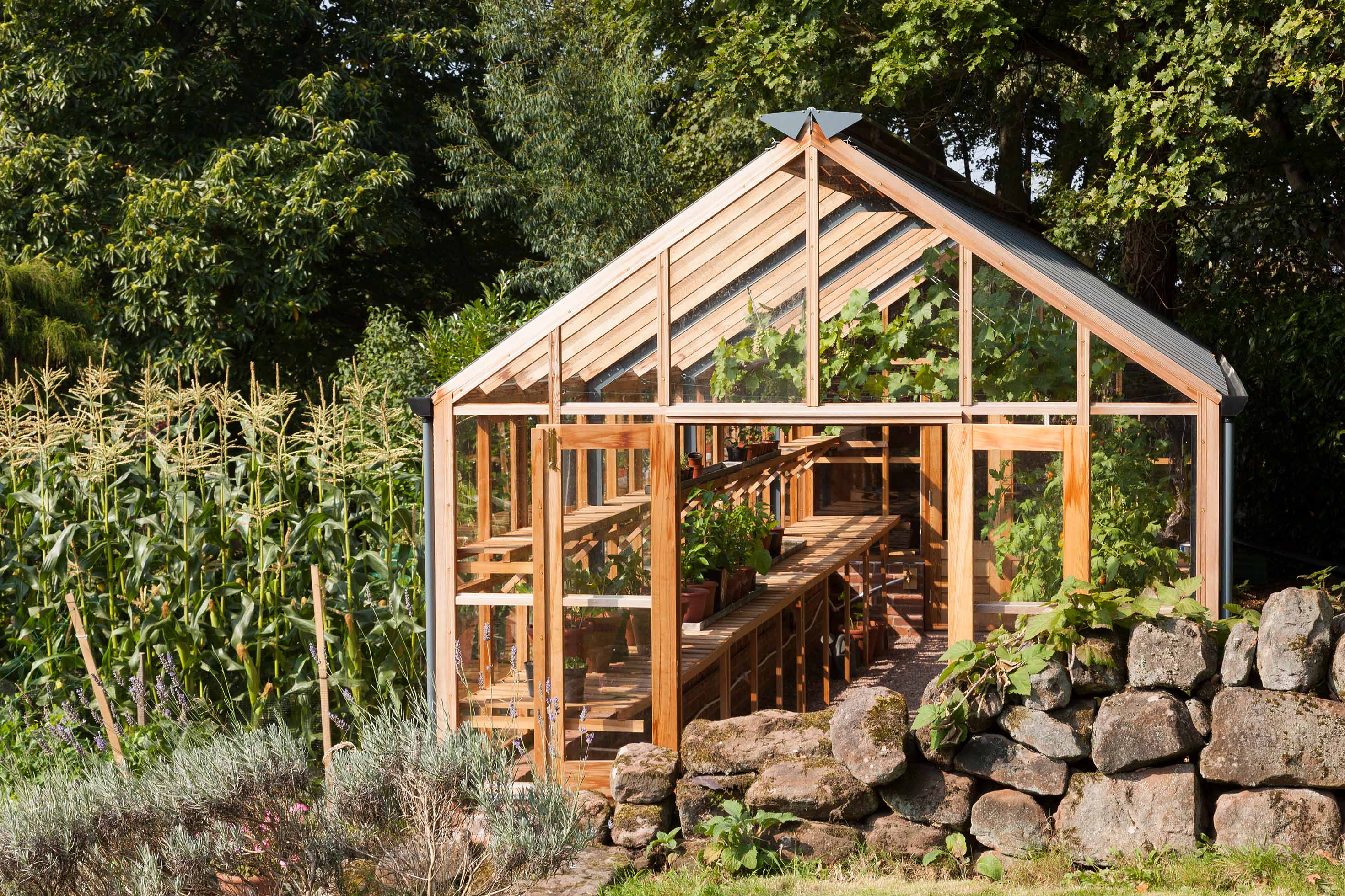 wooden plant house Cedar Greenhouse Planthouse 12