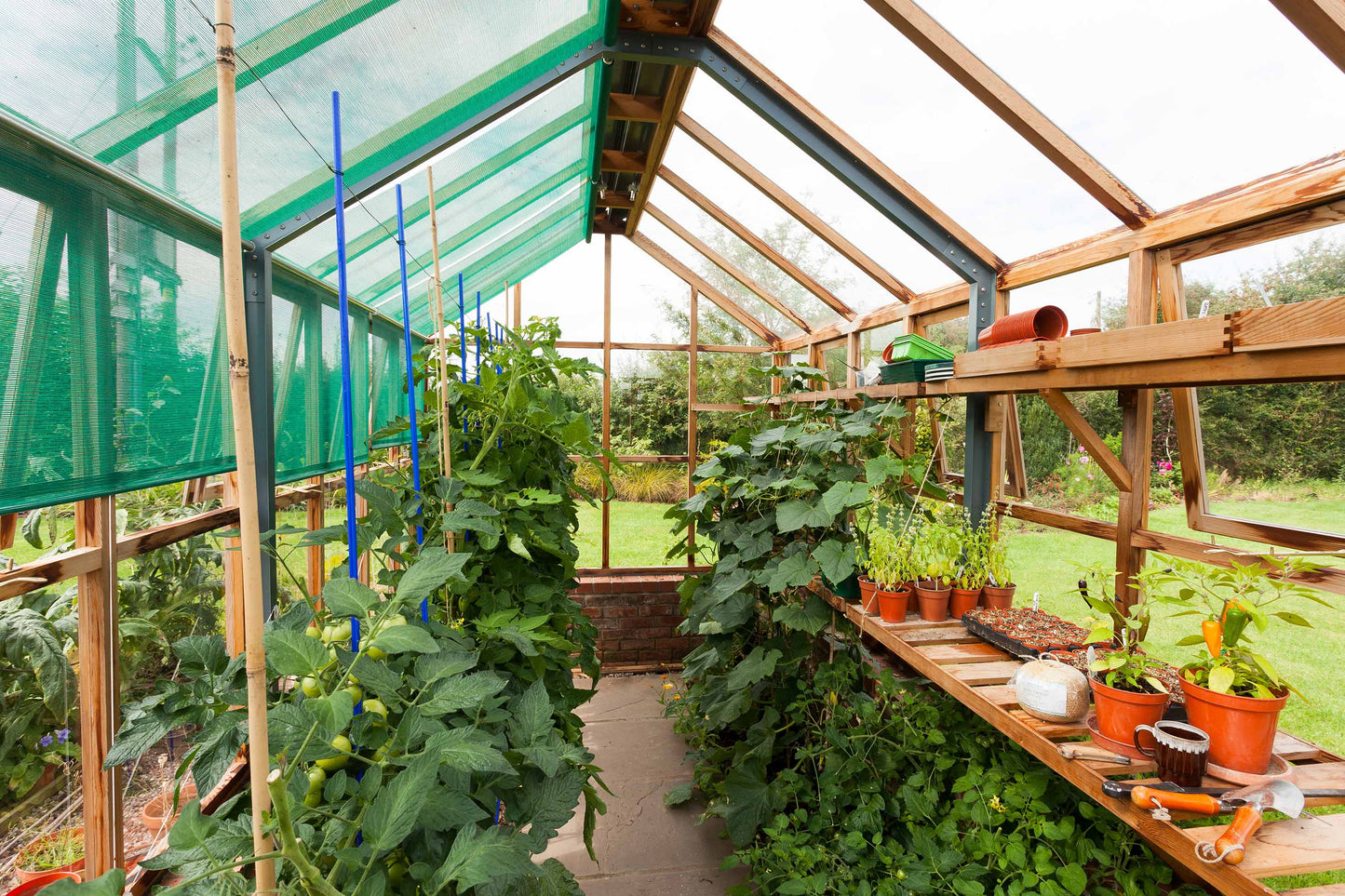 Cedar Greenhouse Plant House 8