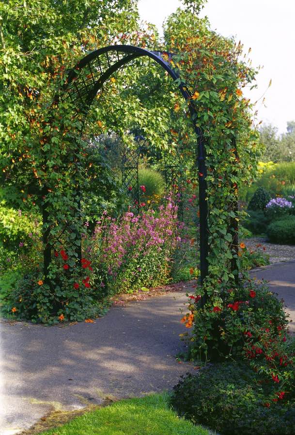 Rosenbåge Portofino