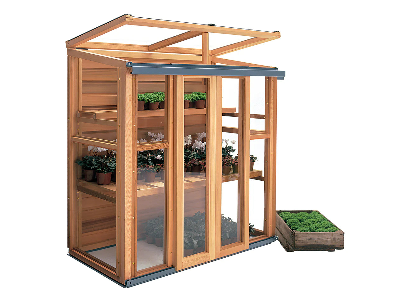 Gabinet uprawy pionowo