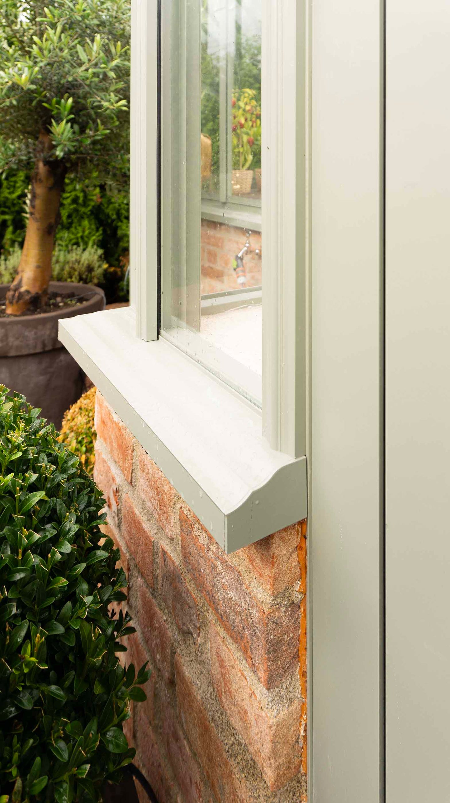 Victorian Greenhouse Floribunda