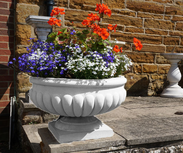 Marlborough Bowl