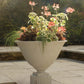Athenisk urn