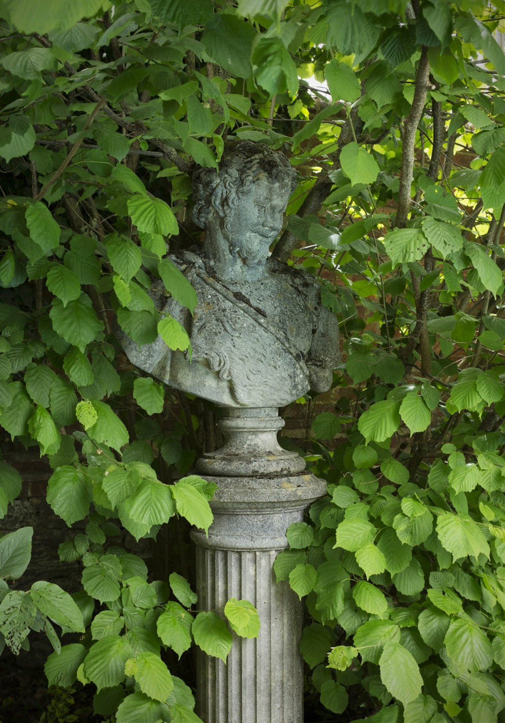 Bust of Bacchus