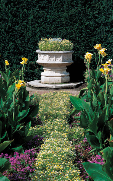 Gothic Jardiniere