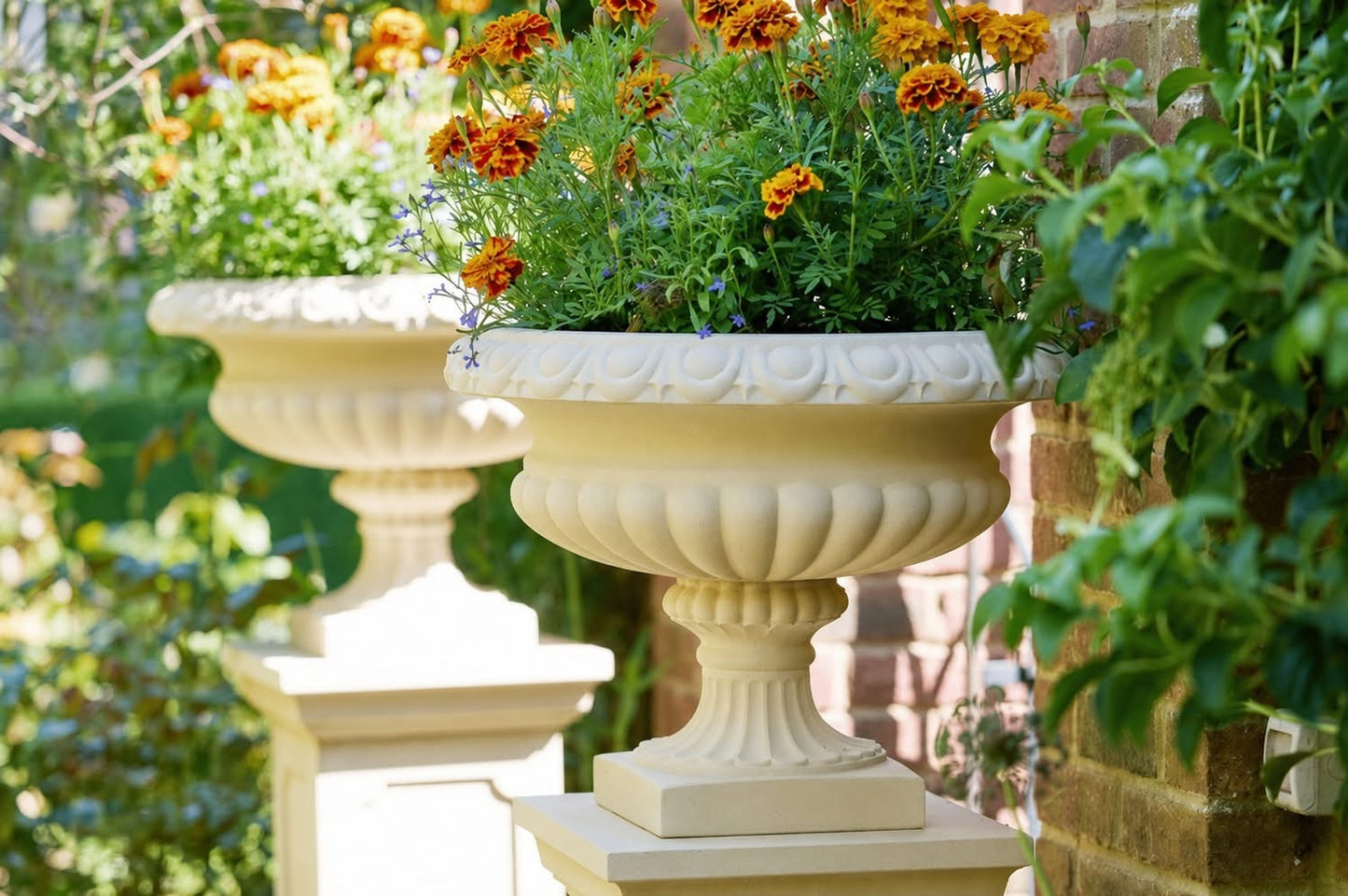 Trafalgar Urne – klassisk planteurne