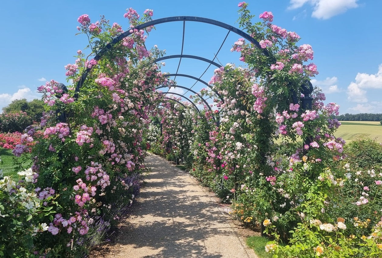 Pergola med bågar St Alban