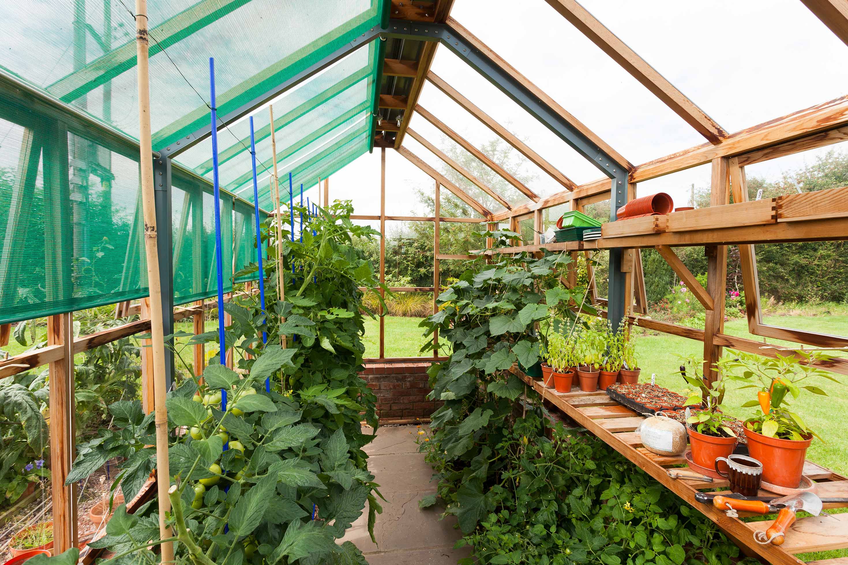 CYDERHOUSE サイダーハウス Canbas Panel Cedar Greenhouse Planthouse 8 – Vansta Trädgård
