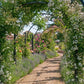 Pergola med bågar St Alban