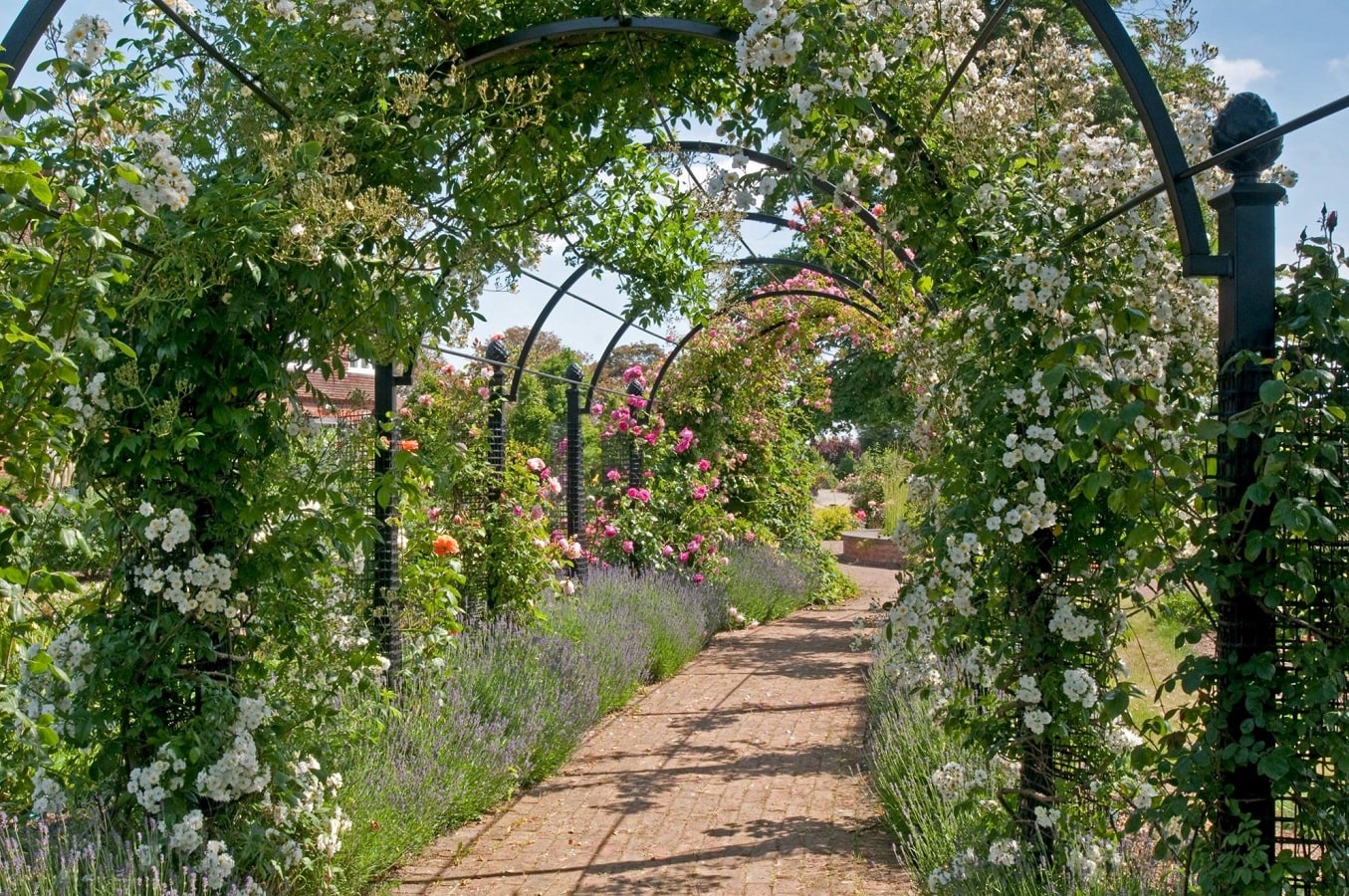 Pergola med bågar St Alban