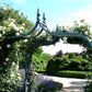 Rose Arch Brighton