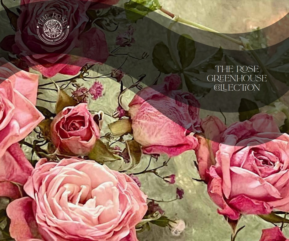 The Rose Greenhouse Collection (ENG)
