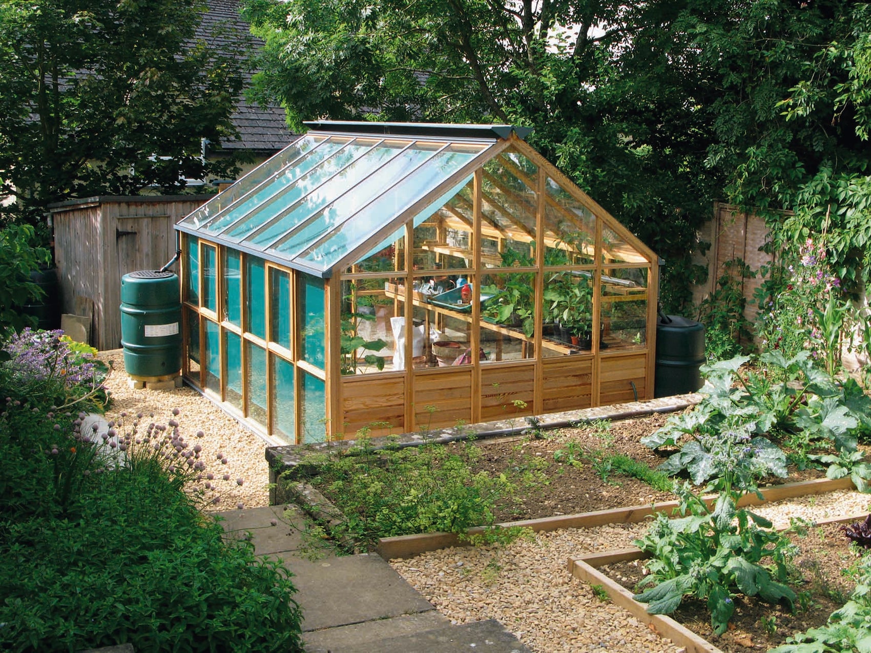 Greenhouse in cedar wood Classic Ten