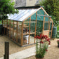 Greenhouse in cedar wood Classic Ten