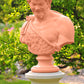 Bust of Bacchus