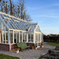 English greenhouse GRANDIFLORA