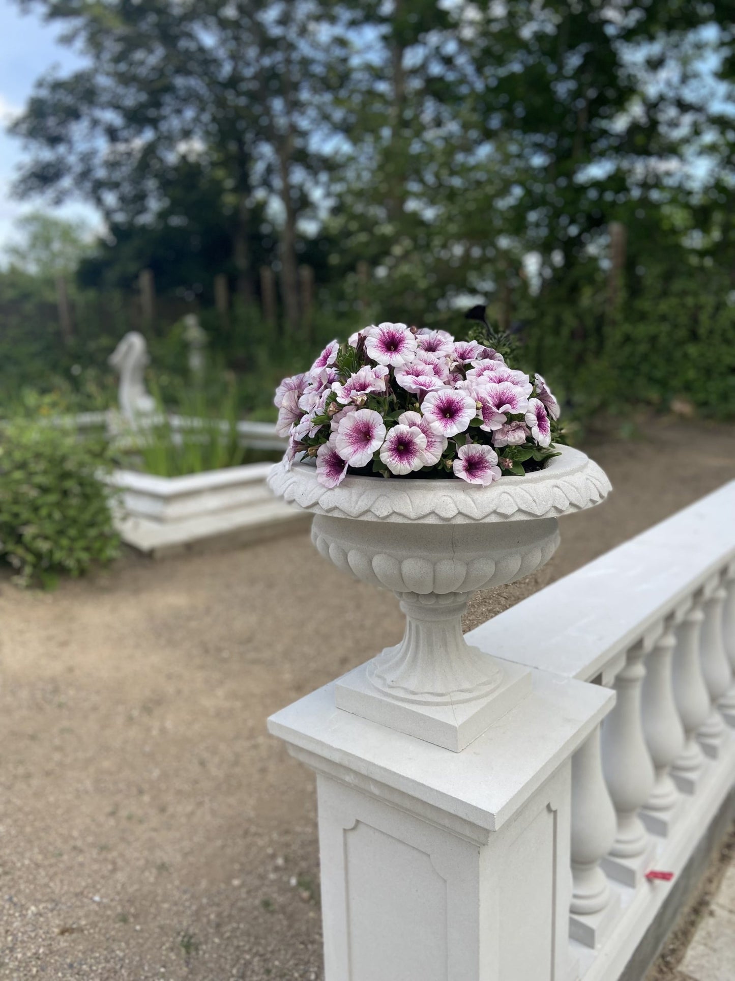 Regency Urn - urn ya kawaida ya kupanda kwa mtindo usio na wakati