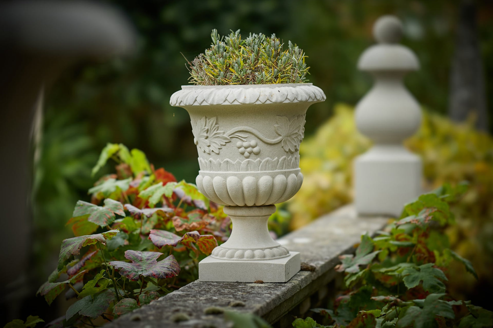 Vine Urn classic urn na mizabibu